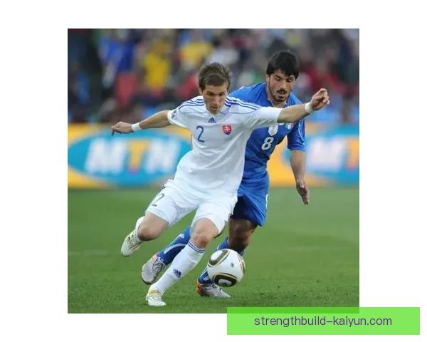 斯洛伐克2010世界杯表现回顾：首次参赛晋级十六强